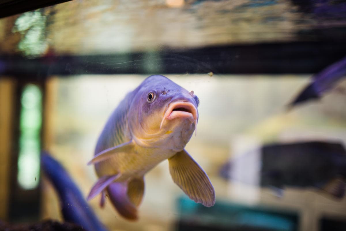 Quarry Hill Nature Center