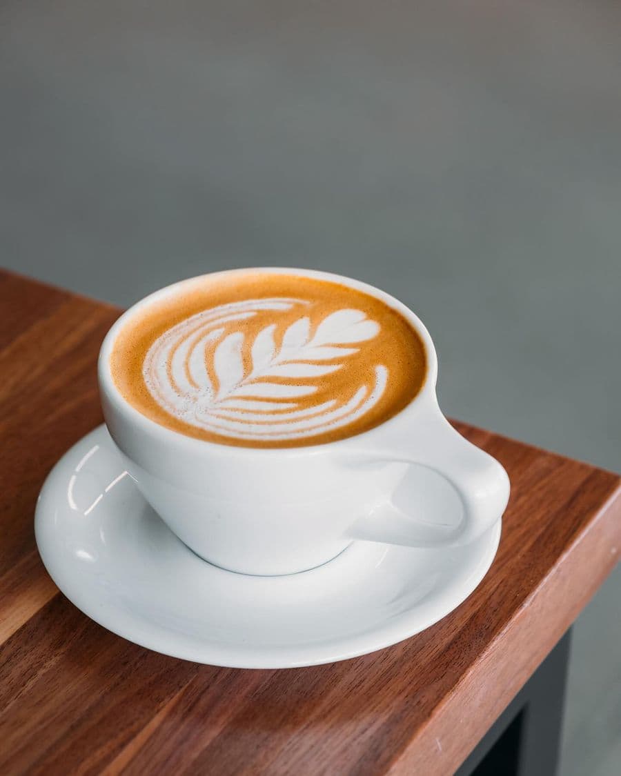 Fiddlehead Coffee Co.